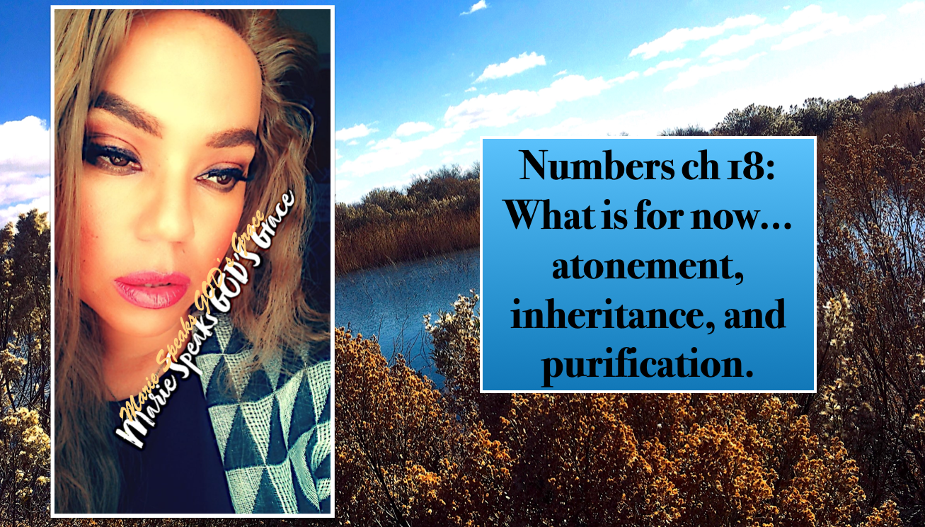 Numbers ch 18: What is for now… atonement, inheritance, and purification.